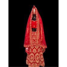 Aashiv's Collection Lehenga