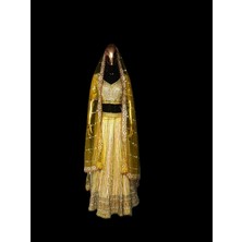 Aashiv's Collection Lehenga