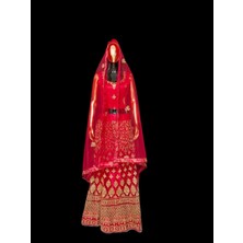 Aashiv's Collection Lehenga