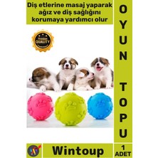 Wintoup #top Kaliteli Kauçuk Diş Kaşıyıcı Interaktif Eğitici Çiğneme Oyun Pati Desenli Köpek Isırma Topu