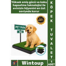 Wintoup #köpek Sızdırmaz Hijyenik Koku Giderici Süper Emici Hızlı Etkili Yavru Köpek Tuvalet Eğitimi