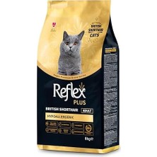 Vuralsin38 Reflex Plus British Shorthair Yetişkin Kedi Maması 8kg
