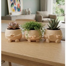 Dekoratif Mini Üçlü Saksılık Vazo