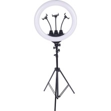 ZB-F488 20 İnç 3'lü Telefon Tutuculu LED Ring Light - Çok Fonksiyonlu Halka Işık
