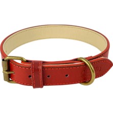 ‎Canini Collar %100 Hakiki Deri Vintage Köpek Tasması, Yumuşak İç Katman, Dayanıklı ve Şık Tasarım Boyun Tasması