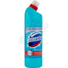 3 Adet Domestos Okaliptus Çamaşır Suyu 750 ml