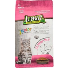 5 Adet Jungle Yavru Kedi Maması Tavuklu 500 gr