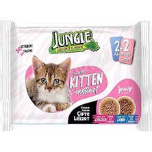 3 Adet Jungle Çift Lezzet Pouch Yavru Kedi Maması Tavuk - Kuzu Etli 100 gr