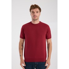 A Club Aclub Zulu Örme Kumaş Viskon Karışımlı Slim Fit Kırmızı Bisiklet Yaka Erkek Düz T-Shirt
