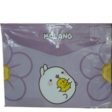  keskin color molang çıtçıtlı dosya a4 120770-20 (12 li paket)