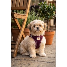 GOBYPET Kediler ve Köpekler Için Rahat, Dayanıklı Göğüs Tasması S