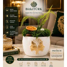BitkiTÜRK Dekoratif Yosun Aranjmanı Beton Saksı Gold Detaylı Portakal Dilimli Aşk Merdivenli Masaüstü Dekoru Ev Ofis Hediyelik Ürün