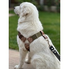 Balkonda Köpek Göğüs Tasması Büyük & Dev Irk Ayarlamalı Önden ve Sırttan Çekmeli Kolon Kordon Haki & Kahverengi & Siyah