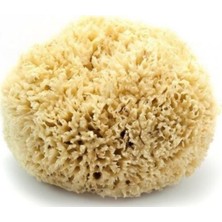 Empressco Natural Kids Bath Sponge - Fiyatı, Yorumları