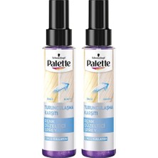 Palette Renk Düzeltici Sprey 100 Ml X 2 Adet