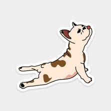 Yoga Pug Köpeği Sticker