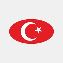 Ay Yıldız Sticker