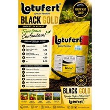 Lotufert Black Gold  %75 Toz Humik Fulvik Asit Köklendirici 10KG