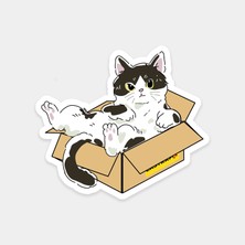 Kutu Keyfi Kedi Sticker