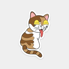Kafası Gitmiş Kedi Sticker
