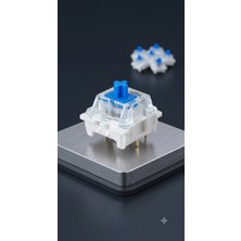Blue Switch Mekanik Tuşlu Clicker Anahtarlık 3D Yazıcı Klavye Için 100 Adet