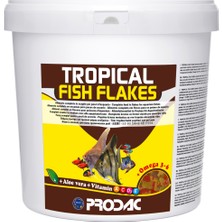 Prodac Tropical Fish Flakes 100GR Açık