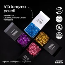 chamashir Kapsül Çamaşır Deterjanı 4'lü Deneme Paketi - Süsen - Sakura - Orkide - Lavanta Kokuları - 236 Kapsül / 236 Yıkama
