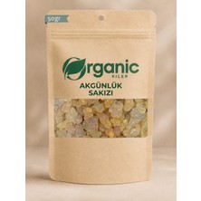 Doğal Akgünlük Sakızı - %100 Doğal Reçine - Günlük Sakızı, Taze & Yeni Mahsül 55GR