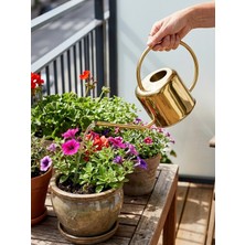 Padilon Dekoratif Metal Sulama Kabı 0,90 Lt Uzun Borulu Bitki Sulama Kabı 34,5 cm