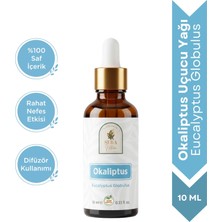 Sera Natura Okaliptus Uçucu Yağı 10 Ml. %100 Saf