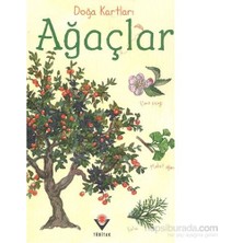 Tübitak Yayınları Doğa Kartları Ağaçlar - Emily Bon Bilim & Teknik Kitabı 31 Sayfa 3-6 Yaş Aralığı İçin