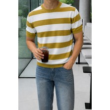 Tarz Cool Erkek Çizgili Triko Tişört Bisiklet Yaka Slim Fit Yazlık Ince Dokulu
