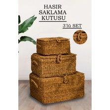 Naturelove 3'lü Kapaklı Hasır Sepet Saklama Kutusu Seti – Çok Amaçlı Sepet Banyo Dolap Düzenleyici Organizer