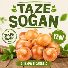 Tespa Ticaret Yemeklik Taze Soğan 10 kg