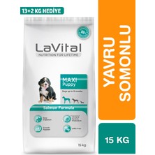 Lavital Somonlu Orta-Büyük Irk Yetişkin Yavru Köpek Maması 13+2kg Hediyeli