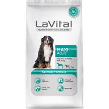 Lavital Somonlu Orta ve Büyük Irk Yetişkin Köpek Maması 13KG + 2kg Hediyeli