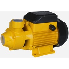 Rtrmax  RTM8740 Su Pompası 750W 1.1 Hp 1