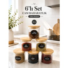 Nyl Home 6'lı Çizgili Cam Baharatlık Seti - Etiket Hediyeli Ahşap Kapaklı Organizer Baharat Saklama Kabı Çerezlik 350ML
