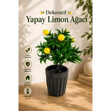 Nyl Home Dekoratif Saksılı Yapay Limon Ağacı - Yeşil Yapraklı Balkon Salon Mutfak Ofis Dekor Çiçeği