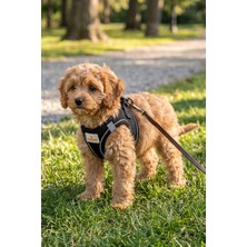 GOBYPET Kediler ve Köpekler Için Rahat, Dayanıklı Göğüs Tasması S
