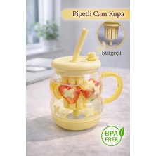 Nyl Home Süzgeçli Borosilikat Cam Kupa Bardak - Tasarım Pipetli Kapaklı Detoks Matarası