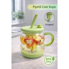 Nyl Home Süzgeçli Borosilikat Cam Kupa Bardak - Tasarım Pipetli Kapaklı Detoks Matarası
