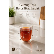 Nyl Home Gümüş Taşlı Çift Cidarlı Borosilikat Cam Çay & Kahve & Latte Bardağı - Isıya Dayanıklı Şeffaf Kupa 250 ml