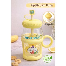 Nyl Home Pipetli Cam Kupa Bardak - Süzgeçli Borosilikat Detoks Matarası - Tasarım Kapaklı Suluk