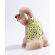 Pawstar Avocado Tişört Kedi Köpek Tişörtü-Kedi Köpek Kıyafeti