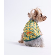 Pawstar Cactus Tişört Kedi Köpek Tişörtü-Kedi Köpek Kıyafeti