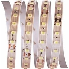 AyrStore Buğz 5 Metre Cata Ct 4540 Iç Mekan 12V 120 Ledli Şerit LED 3200K Gün Işığı