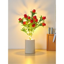 Empressco Hediye Fikri Bereket Getiren Nar Tasarımlı Dekoratif LED Işıklı Lamba 27 cm x 8 cm - Fiyatı, Yorumları
