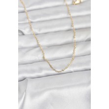 cm 14K Gold Renk Burgu Model 60 cm Kadın Kolye