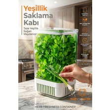 Yeşillik Saklama Kabı - Taze Yeşillik Için - Soğan Maydanoz Vb Yeşillik Saklama  721958